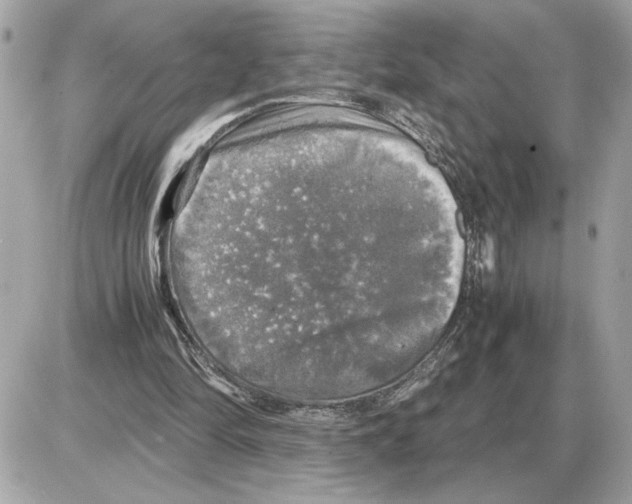 X0000085270294200704092147