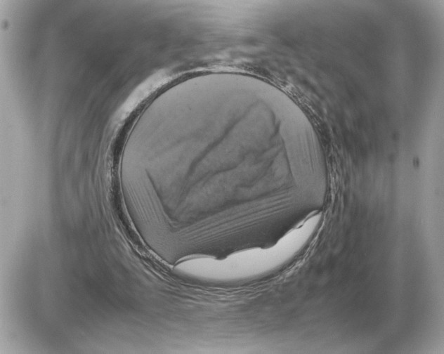 X0000085270295200704092147