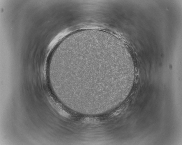 X0000085270296200704092147