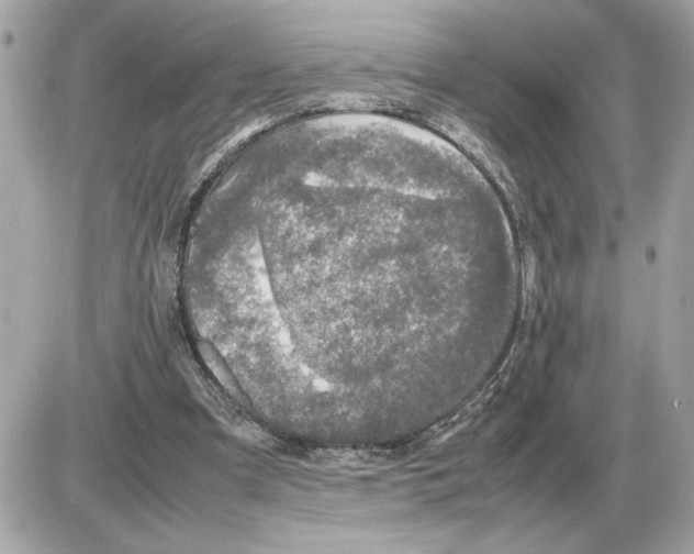 X0000085270297200704092147