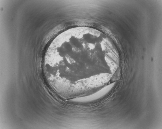 X0000085270299200704092147