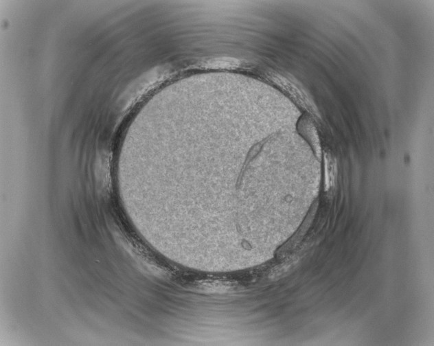 X0000085270300200704092147