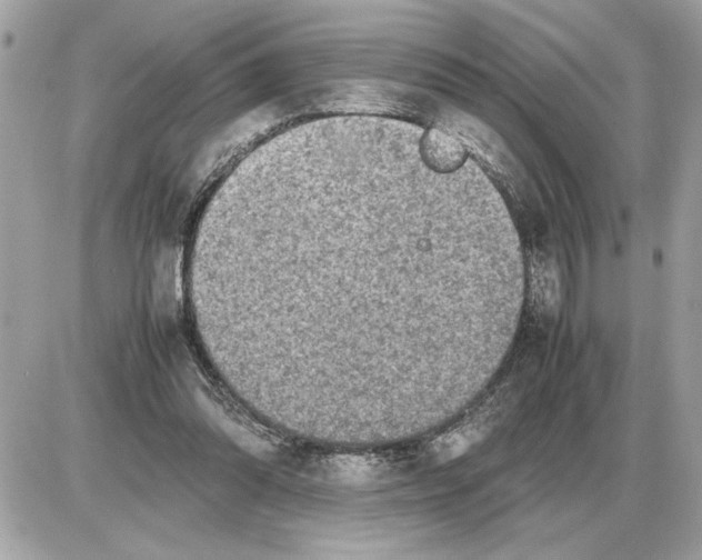 X0000085270302200704092147