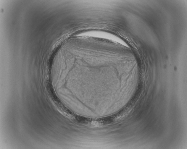 X0000085270303200704092147