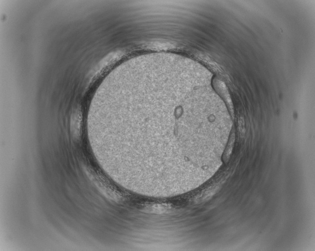 X0000085270304200704092147