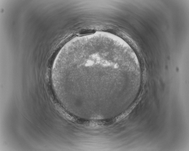 X0000085270305200704092147