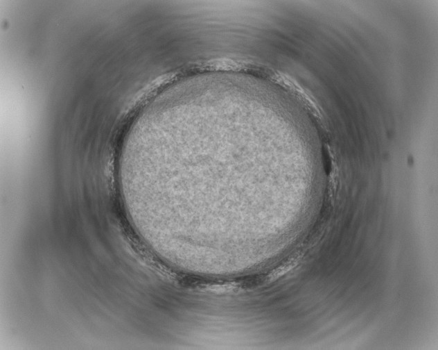 X0000085270306200704092147