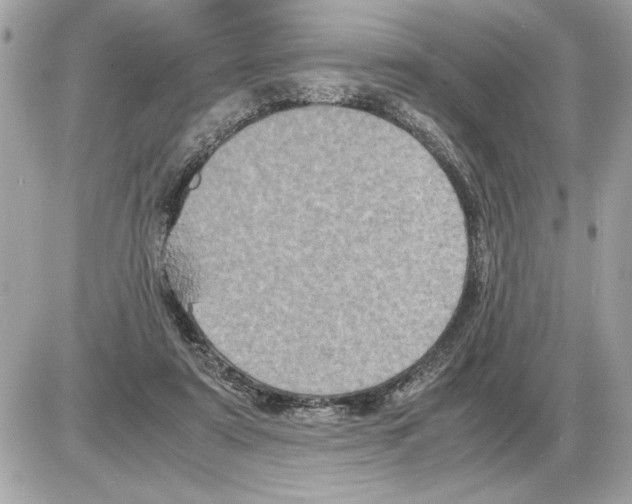 X0000085270307200704092147