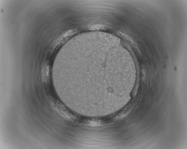 X0000085270308200704092147