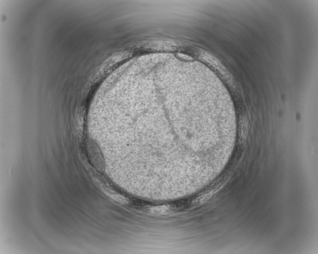 X0000085270309200704092147