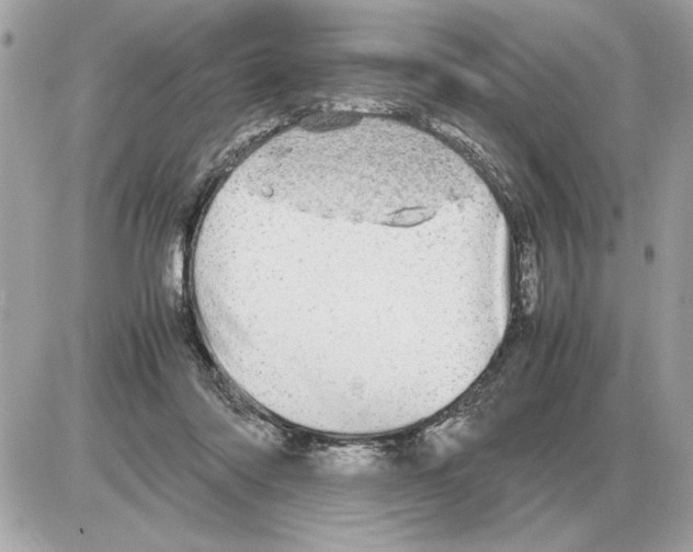 X0000085270310200704092147