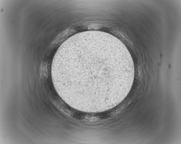 X0000085270311200704092147