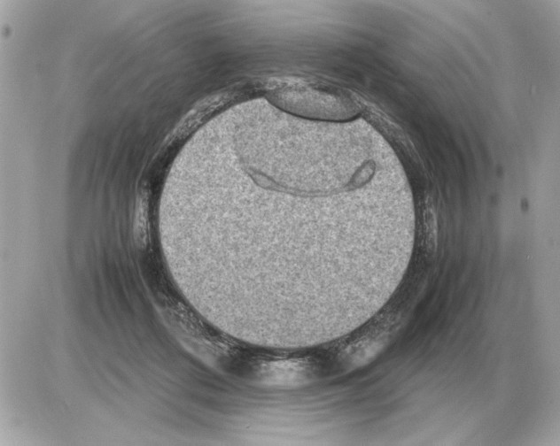 X0000085270312200704092147