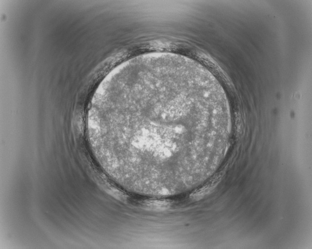 X0000085270313200704092147