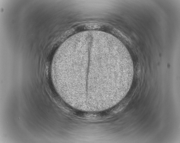 X0000085270315200704092147