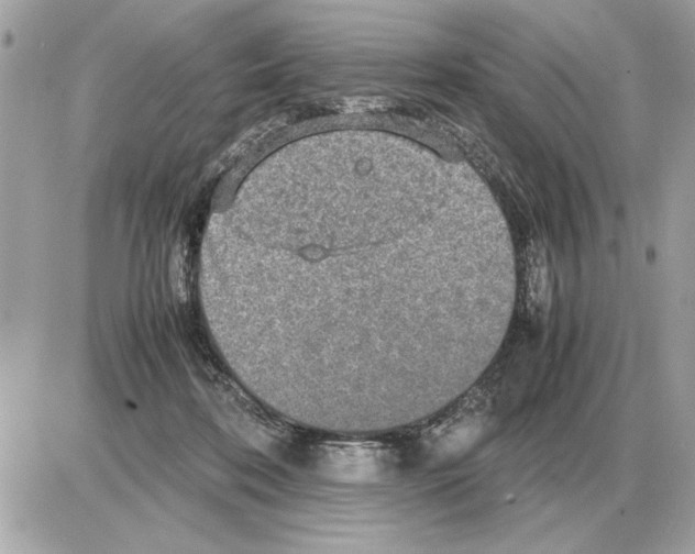 X0000085270316200704092147