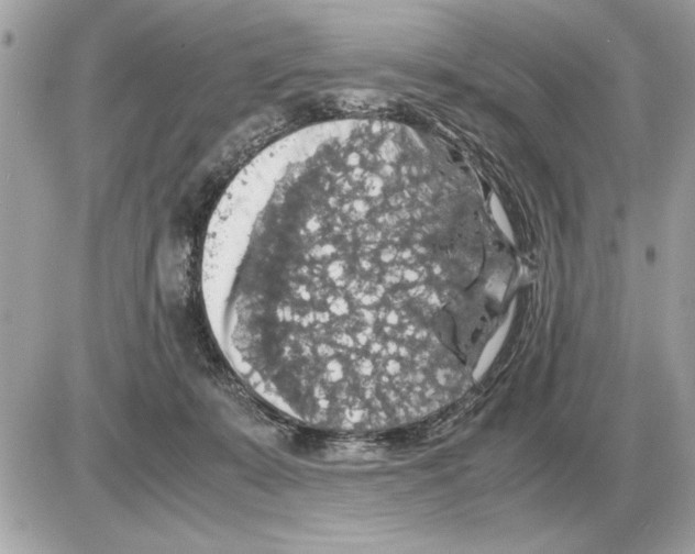 X0000085270319200704092146