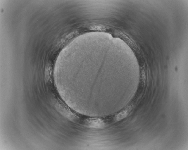 X0000085270322200704092146