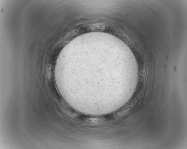 X0000085270323200704092146