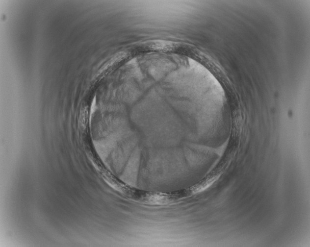 X0000085270325200704092146