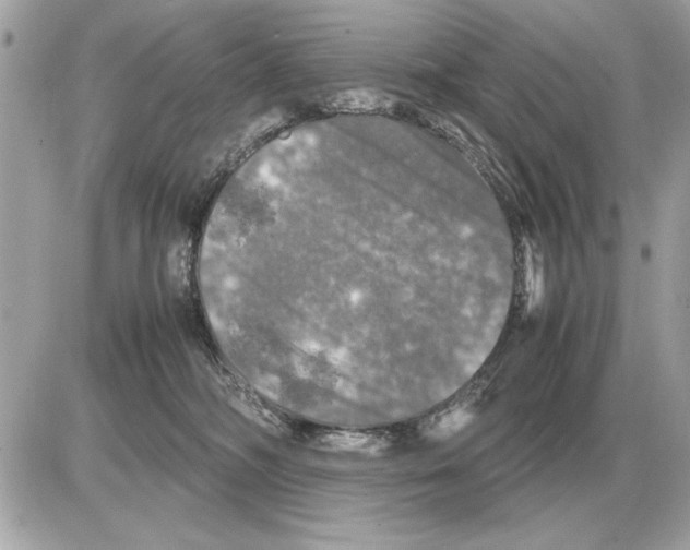 X0000085270326200704092146