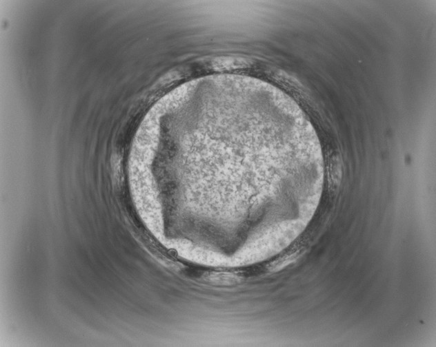 X0000085270327200704092146