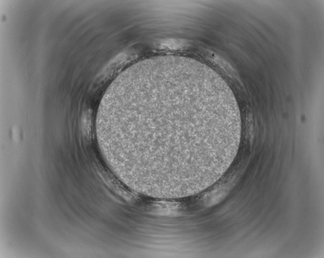 X0000085270328200704092146