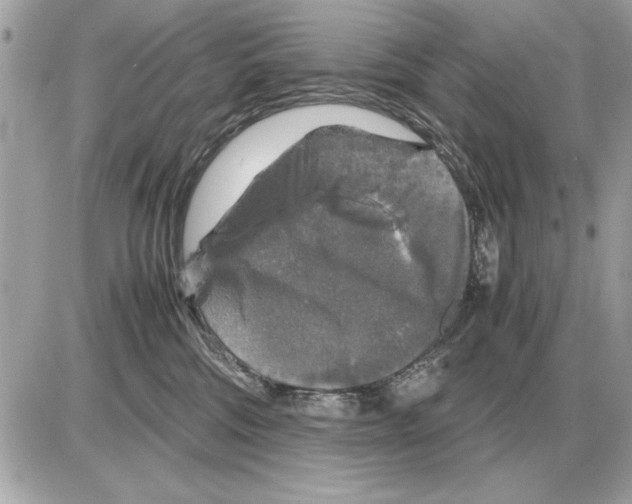 X0000085270330200704092146