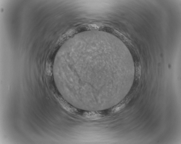 X0000085270331200704092146