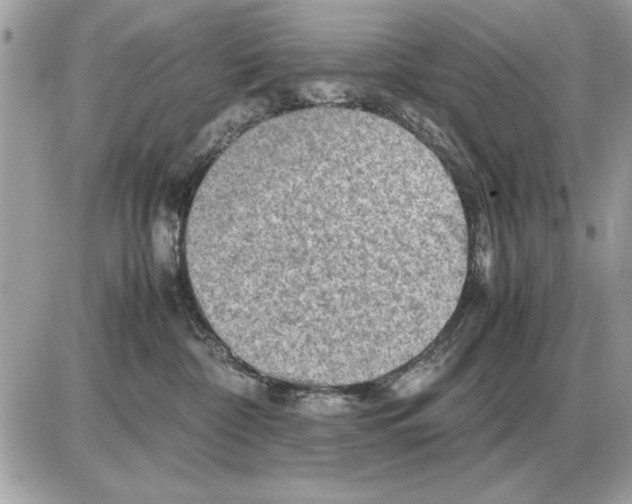 X0000085270332200704092146