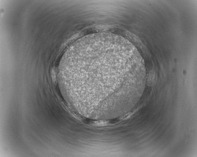 X0000085270335200704092146