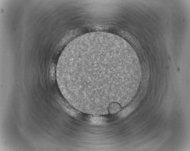 X0000085270336200704092146