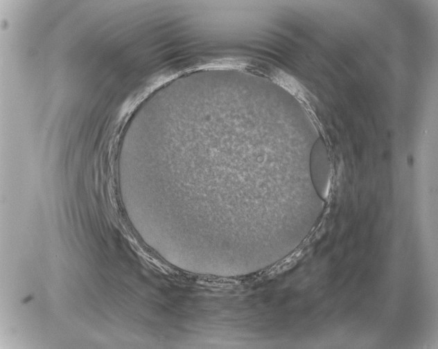 X0000085270337200704092145