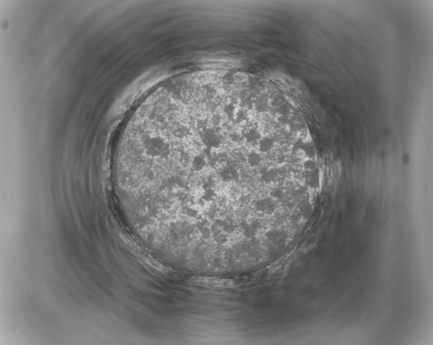 X0000085270339200704092145