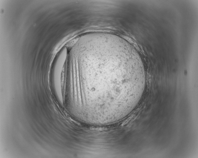 X0000085270340200704092145