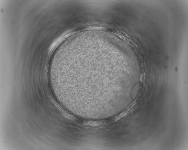 X0000085270341200704092145