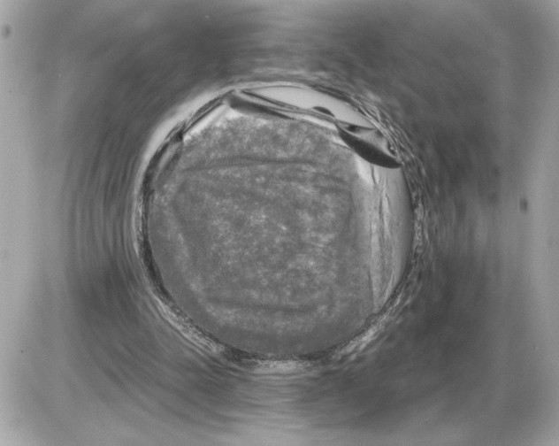 X0000085270342200704092145