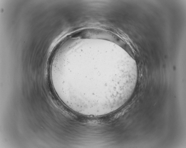 X0000085270344200704092146