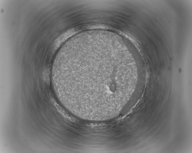 X0000085270345200704092146