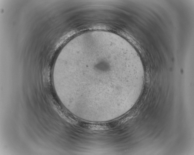 X0000085270347200704092146