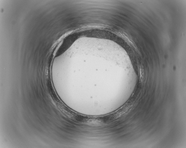 X0000085270348200704092146