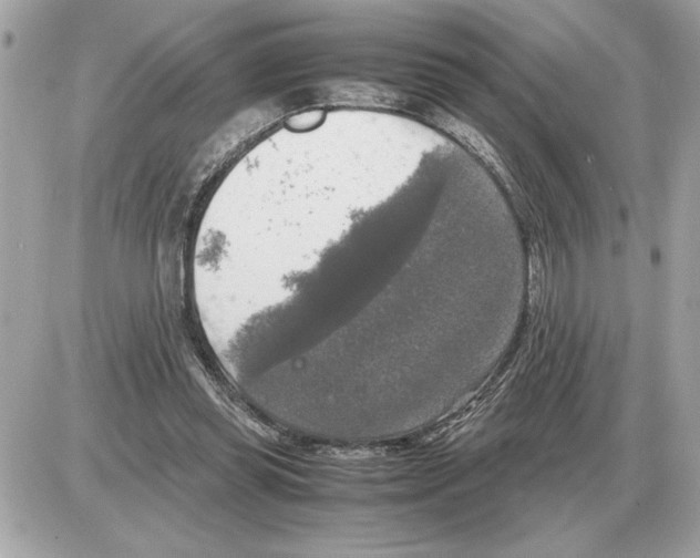 X0000085270349200704092146