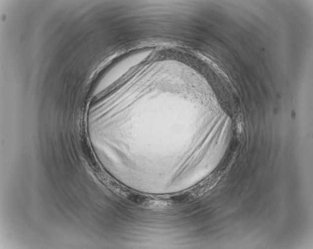 X0000085270352200704092146