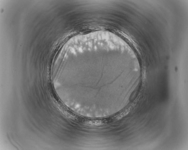 X0000085270353200704092146