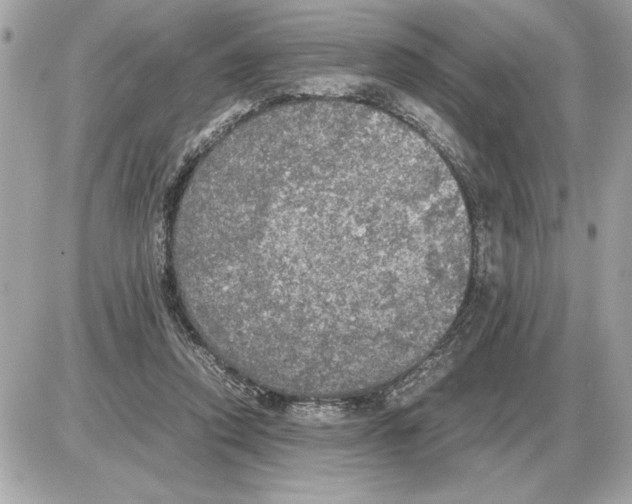 X0000085270354200704092146