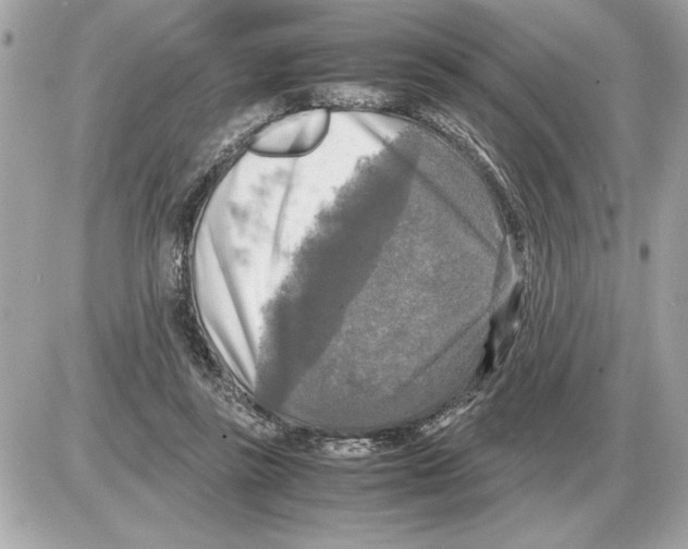 X0000085270355200704092146