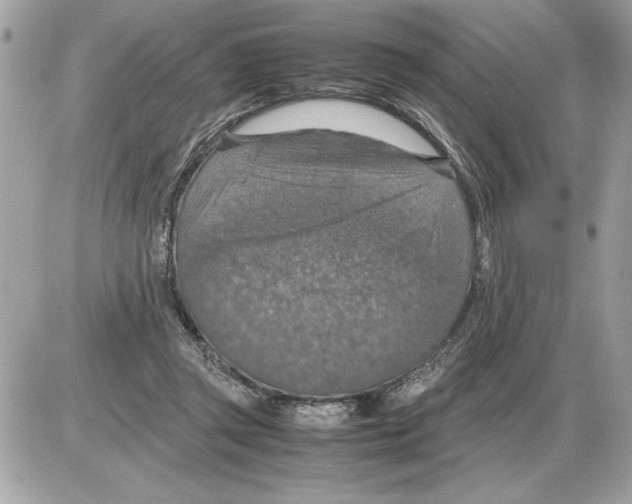 X0000085270357200704092146