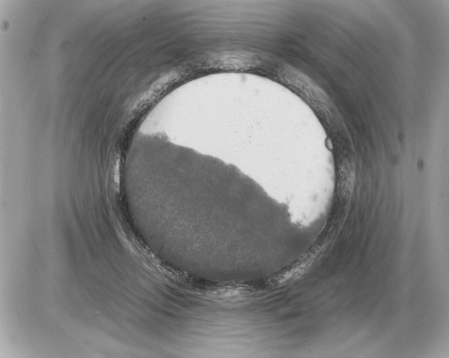 X0000085270358200704092146