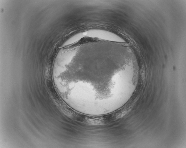 X0000085270359200704092146