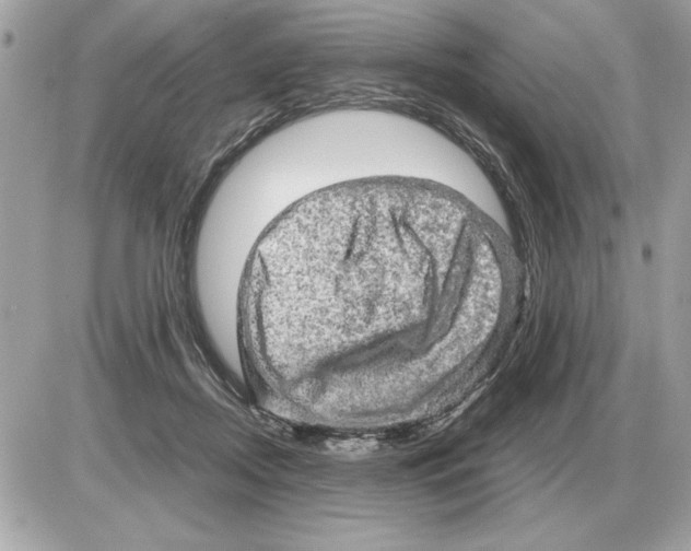 X0000085270362200704092146